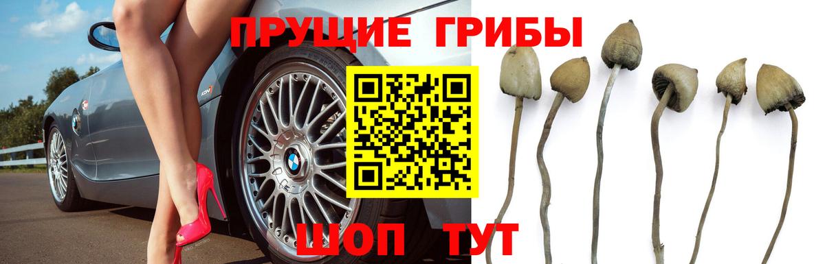 Псилоцибиновые грибы ЛСД Люберцы